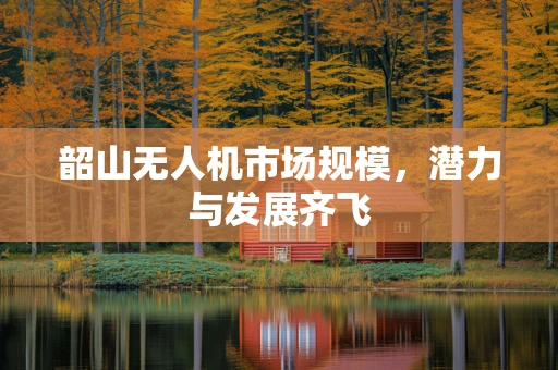 韶山无人机市场规模，潜力与发展齐飞