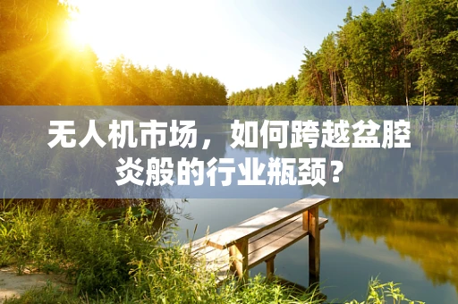无人机市场，如何跨越盆腔炎般的行业瓶颈？