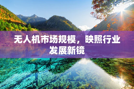 无人机市场规模，映照行业发展新镜