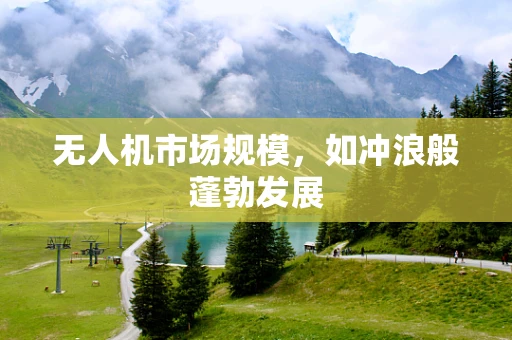 无人机市场规模，如冲浪般蓬勃发展