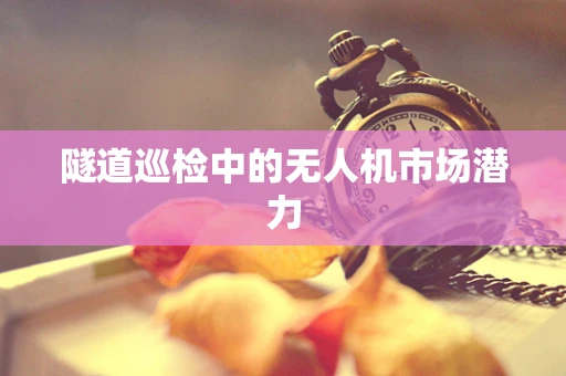 隧道巡检中的无人机市场潜力