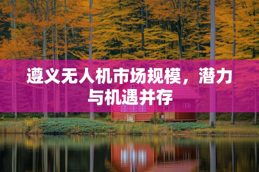遵义无人机市场规模，潜力与机遇并存