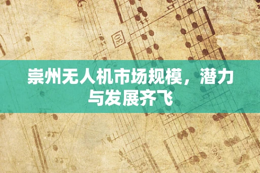 崇州无人机市场规模，潜力与发展齐飞