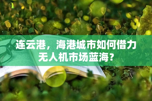 连云港，海港城市如何借力无人机市场蓝海？