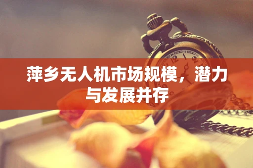 萍乡无人机市场规模，潜力与发展并存