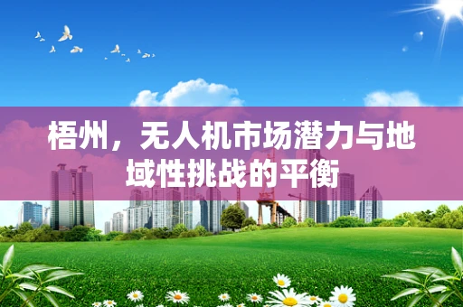 梧州，无人机市场潜力与地域性挑战的平衡