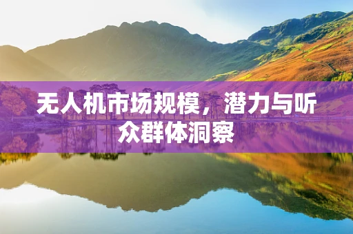无人机市场规模，潜力与听众群体洞察