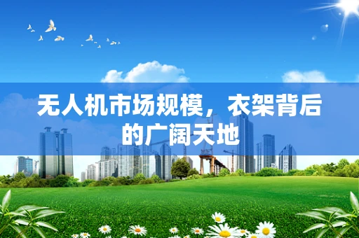无人机市场规模，衣架背后的广阔天地