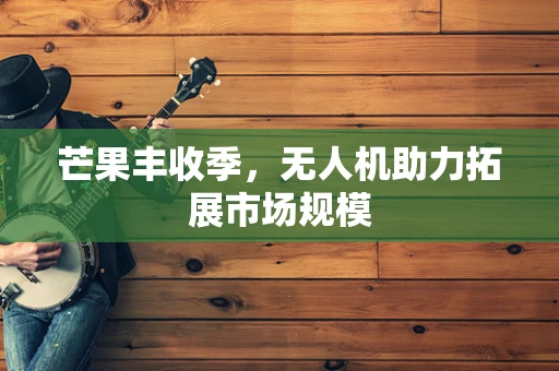 芒果丰收季，无人机助力拓展市场规模