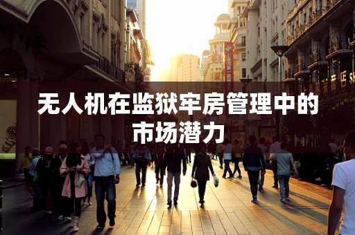 无人机在监狱牢房管理中的市场潜力