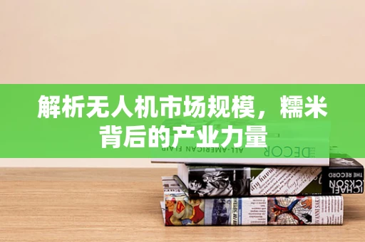 解析无人机市场规模，糯米背后的产业力量