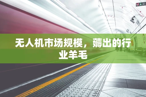 无人机市场规模，薅出的行业羊毛