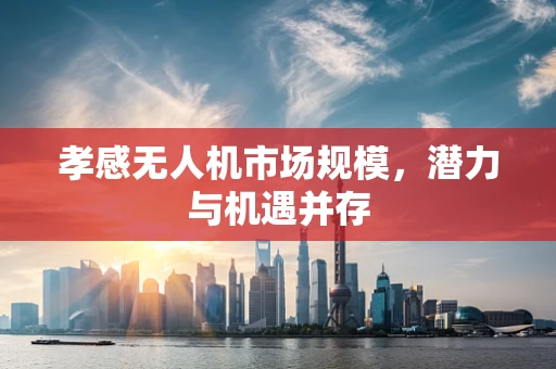 孝感无人机市场规模，潜力与机遇并存