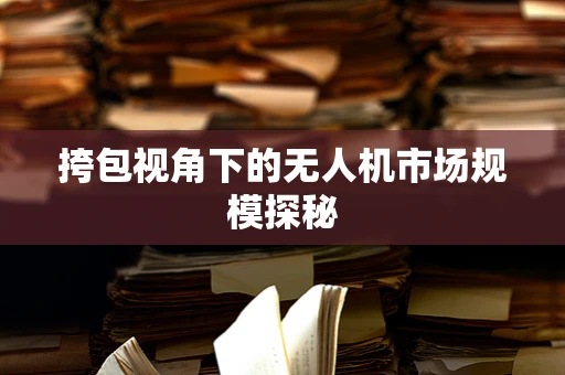 挎包视角下的无人机市场规模探秘