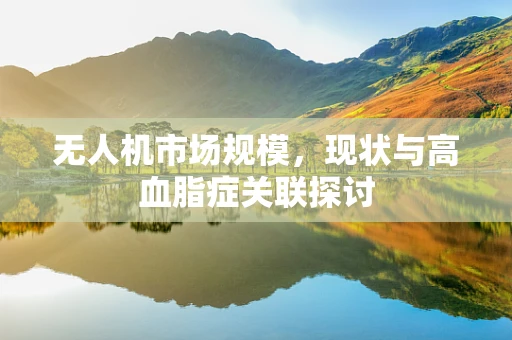 无人机市场规模，现状与高血脂症关联探讨