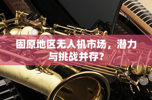 固原地区无人机市场，潜力与挑战并存？