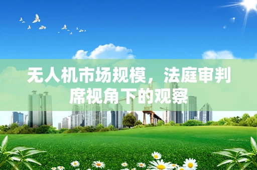 无人机市场规模，法庭审判席视角下的观察
