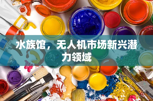 水族馆，无人机市场新兴潜力领域