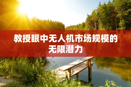 教授眼中无人机市场规模的无限潜力