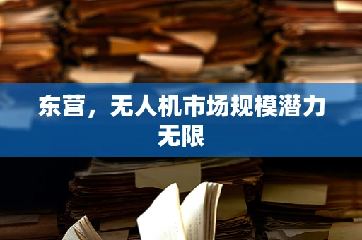 东营，无人机市场规模潜力无限