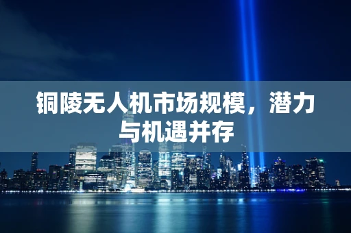 铜陵无人机市场规模，潜力与机遇并存