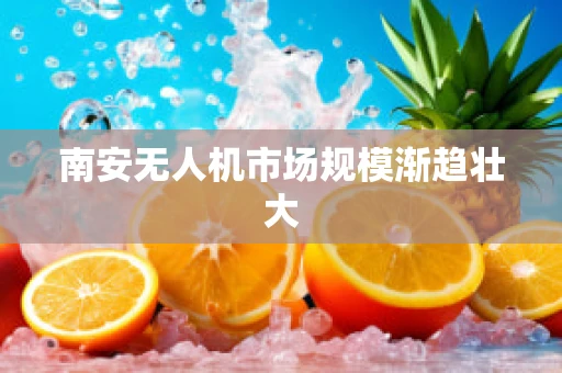 南安无人机市场规模渐趋壮大