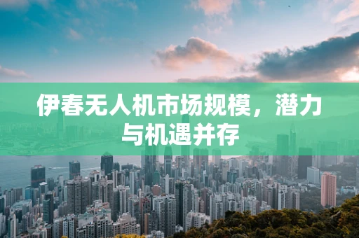 伊春无人机市场规模，潜力与机遇并存