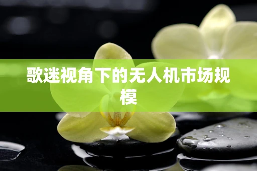 歌迷视角下的无人机市场规模