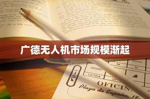 广德无人机市场规模渐起