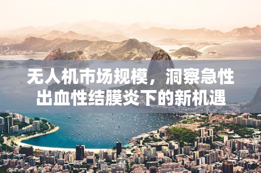 无人机市场规模，洞察急性出血性结膜炎下的新机遇