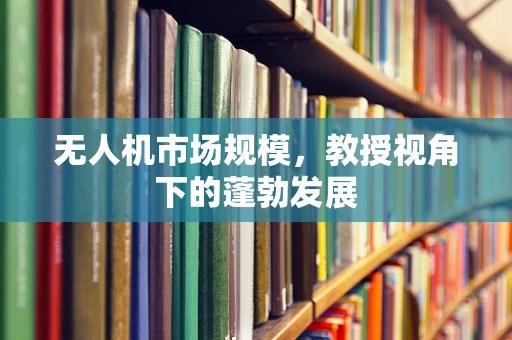 无人机市场规模，教授视角下的蓬勃发展