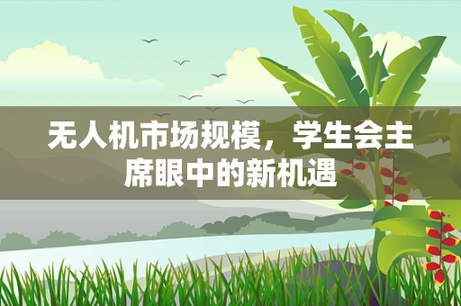 无人机市场规模，学生会主席眼中的新机遇