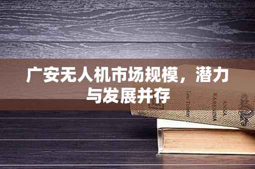 广安无人机市场规模，潜力与发展并存