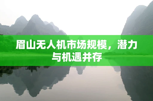 眉山无人机市场规模，潜力与机遇并存