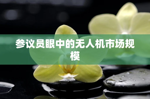 参议员眼中的无人机市场规模