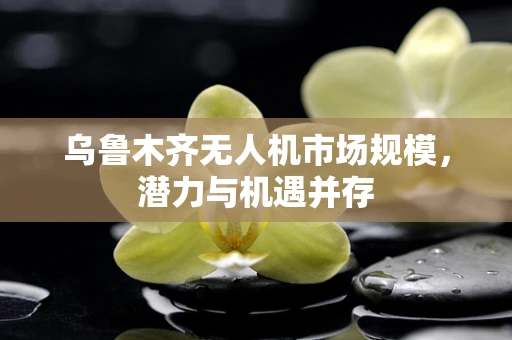 乌鲁木齐无人机市场规模，潜力与机遇并存