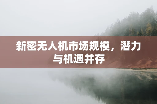 新密无人机市场规模，潜力与机遇并存
