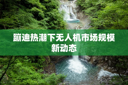 蹦迪热潮下无人机市场规模新动态