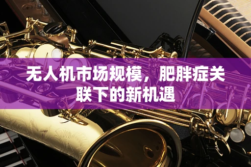 无人机市场规模，肥胖症关联下的新机遇