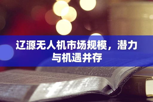 辽源无人机市场规模，潜力与机遇并存