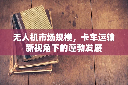 无人机市场规模，卡车运输新视角下的蓬勃发展