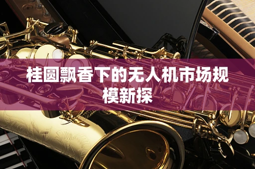 桂圆飘香下的无人机市场规模新探