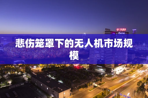 悲伤笼罩下的无人机市场规模