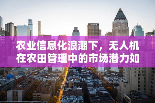 农业信息化浪潮下，无人机在农田管理中的市场潜力如何被最大化？