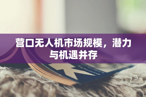 营口无人机市场规模，潜力与机遇并存