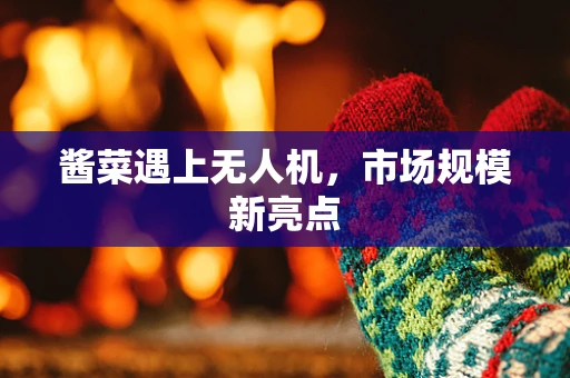 酱菜遇上无人机，市场规模新亮点