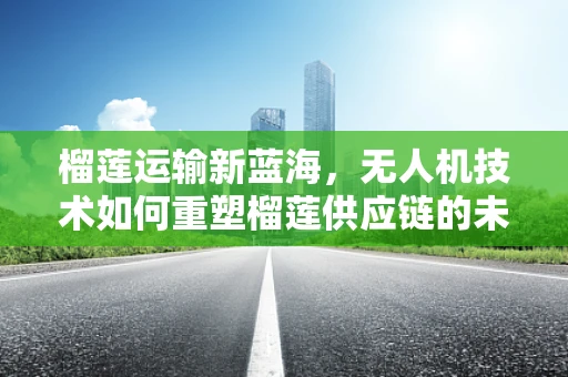 榴莲运输新蓝海，无人机技术如何重塑榴莲供应链的未来？