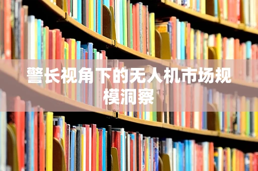 警长视角下的无人机市场规模洞察