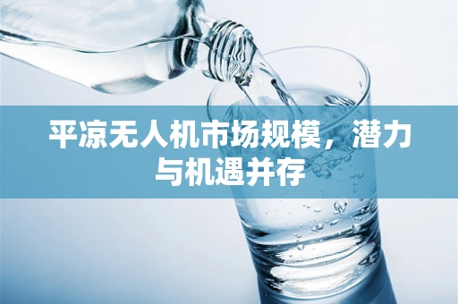 平凉无人机市场规模，潜力与机遇并存