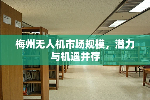 梅州无人机市场规模，潜力与机遇并存